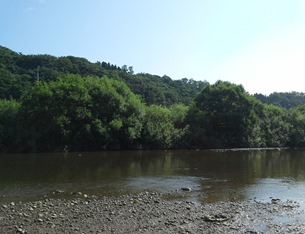 2016-07-22 08.41.13