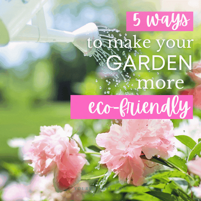 5 Ways to Make Your Garden More Eco-Friendly