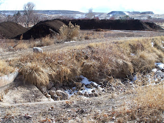 Manure 20 Feet from Canal