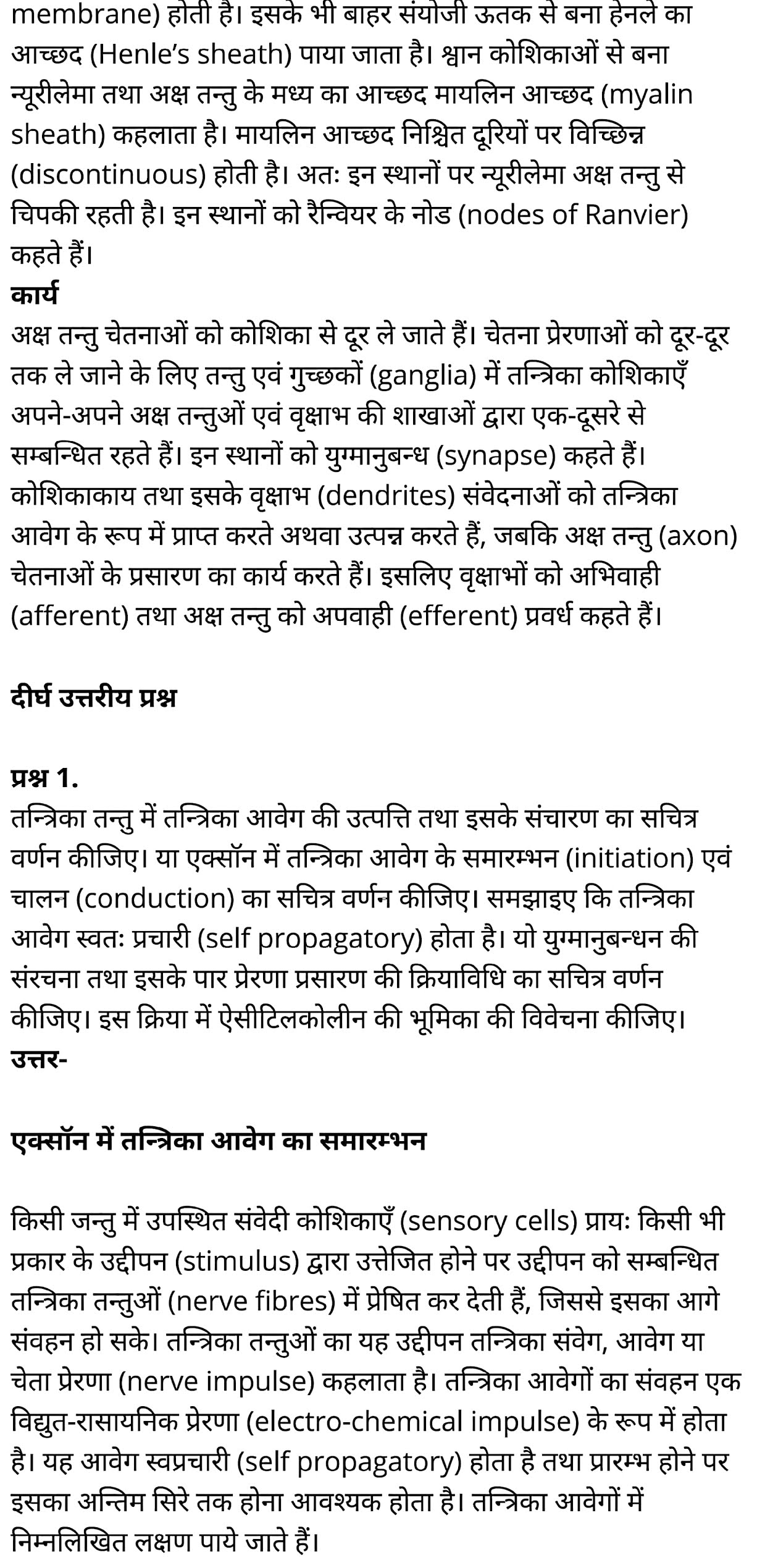 कक्षा 11 जीव विज्ञान अध्याय 21 के नोट्स हिंदी में एनसीईआरटी समाधान,   class 11 Biology Chapter 21,  class 11 Biology Chapter 21 ncert solutions in hindi,  class 11 Biology Chapter 21 notes in hindi,  class 11 Biology Chapter 21 question answer,  class 11 Biology Chapter 21 notes,  11   class Biology Chapter 21 in hindi,  class 11 Biology Chapter 21 in hindi,  class 11 Biology Chapter 21 important questions in hindi,  class 11 Biology notes in hindi,  class 11 Biology Chapter 21 test,  class 11 BiologyChapter 21 pdf,  class 11 Biology Chapter 21 notes pdf,  class 11 Biology Chapter 21 exercise solutions,  class 11 Biology Chapter 21, class 11 Biology Chapter 21 notes study rankers,  class 11 Biology Chapter 21 notes,  class 11 Biology notes,   Biology  class 11  notes pdf,  Biology class 11  notes 2121 ncert,  Biology class 11 pdf,  Biology  book,  Biology quiz class 11  ,   11  th Biology    book up board,  up board 11  th Biology notes,  कक्षा 11 जीव विज्ञान अध्याय 21, कक्षा 11 जीव विज्ञान का अध्याय 21 ncert solution in hindi, कक्षा 11 जीव विज्ञान  के अध्याय 21 के नोट्स हिंदी में, कक्षा 11 का जीव विज्ञान अध्याय 21 का प्रश्न उत्तर, कक्षा 11 जीव विज्ञान अध्याय 21 के नोट्स, 11 कक्षा जीव विज्ञान अध्याय 21 हिंदी में,कक्षा 11 जीव विज्ञान  अध्याय 21 हिंदी में, कक्षा 11 जीव विज्ञान  अध्याय 21 महत्वपूर्ण प्रश्न हिंदी में,कक्षा 11 के जीव विज्ञानके नोट्स हिंदी में,जीव विज्ञान  कक्षा 11 नोट्स pdf,