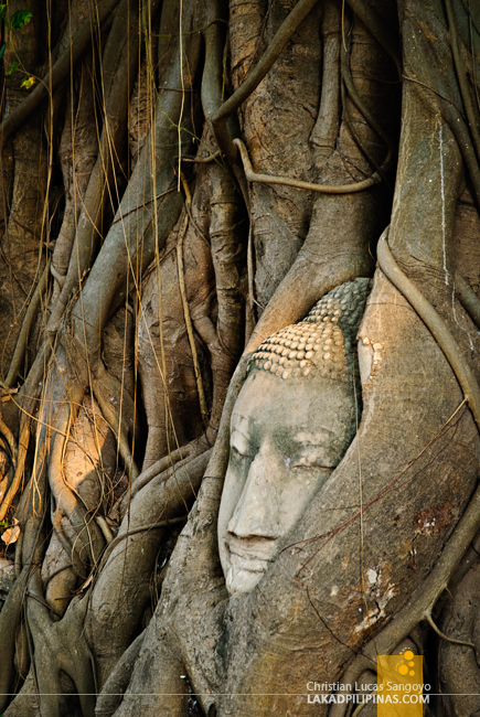 Ayutthaya Historical Park Thailand