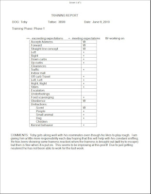 Picture of the report card from Toby's trainer down at the school. He got mostly a plus for each thing (which is great), and only got a W (working on) in a couple