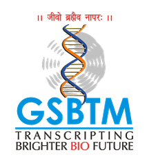 GSBTM Recruitment for Director & Senior Manager Posts 2019