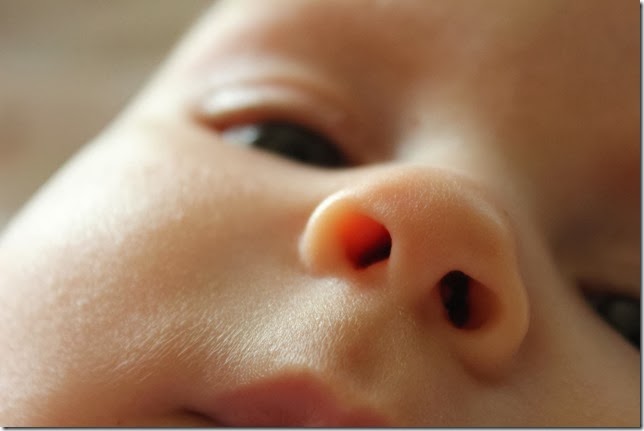 nose