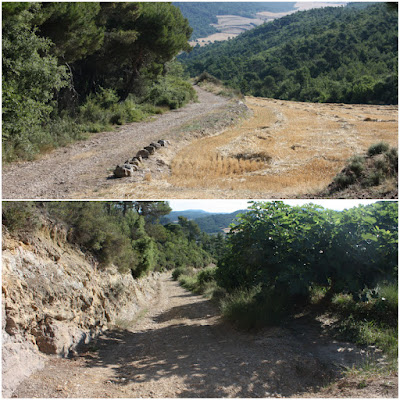 GR-7 VALLESPINOSA A BELLPRAT, camí de Ricreu en direcció a Pontils