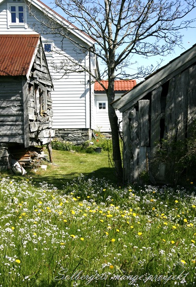 _MG_1917 til blogg