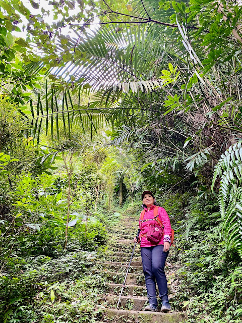 下山往茅埔路