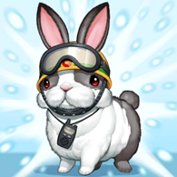 Rescue Rabbit