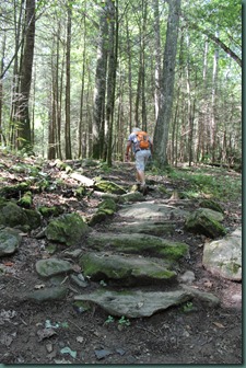 Bear Hair Gap Trail, Vogel State Park, Blairsville, Georgia