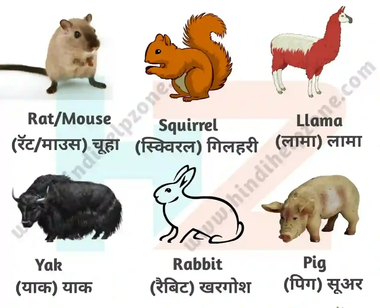 All Animals Name List In Hindi And English - (pdf) - जानवरों (पशुओं) के नाम