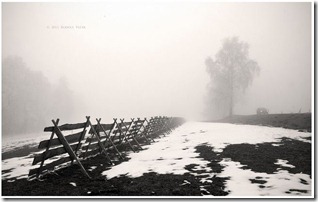 paisaje9