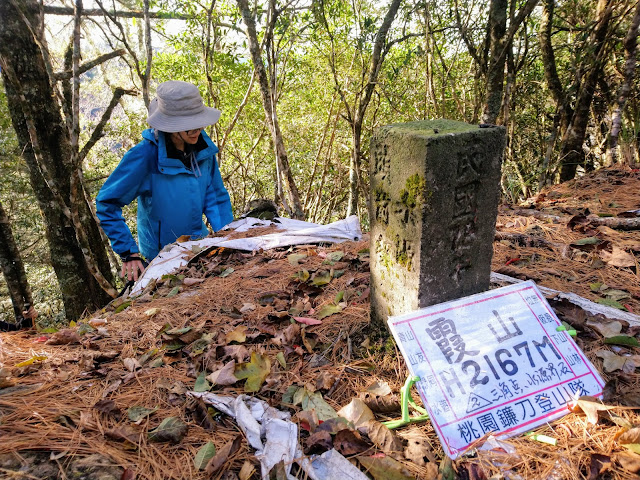 霞山