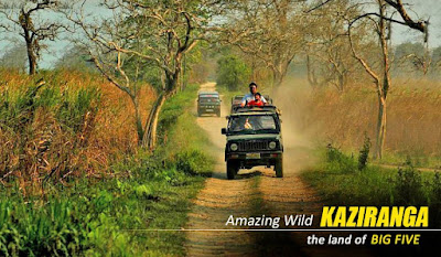 Kaziranga Jeep Safari from NatureWings
