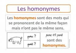 les homonymes