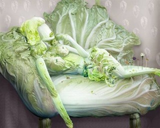 art_of_cabbage_08