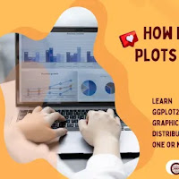 How I Create Violin Plots with ggplot2 in R