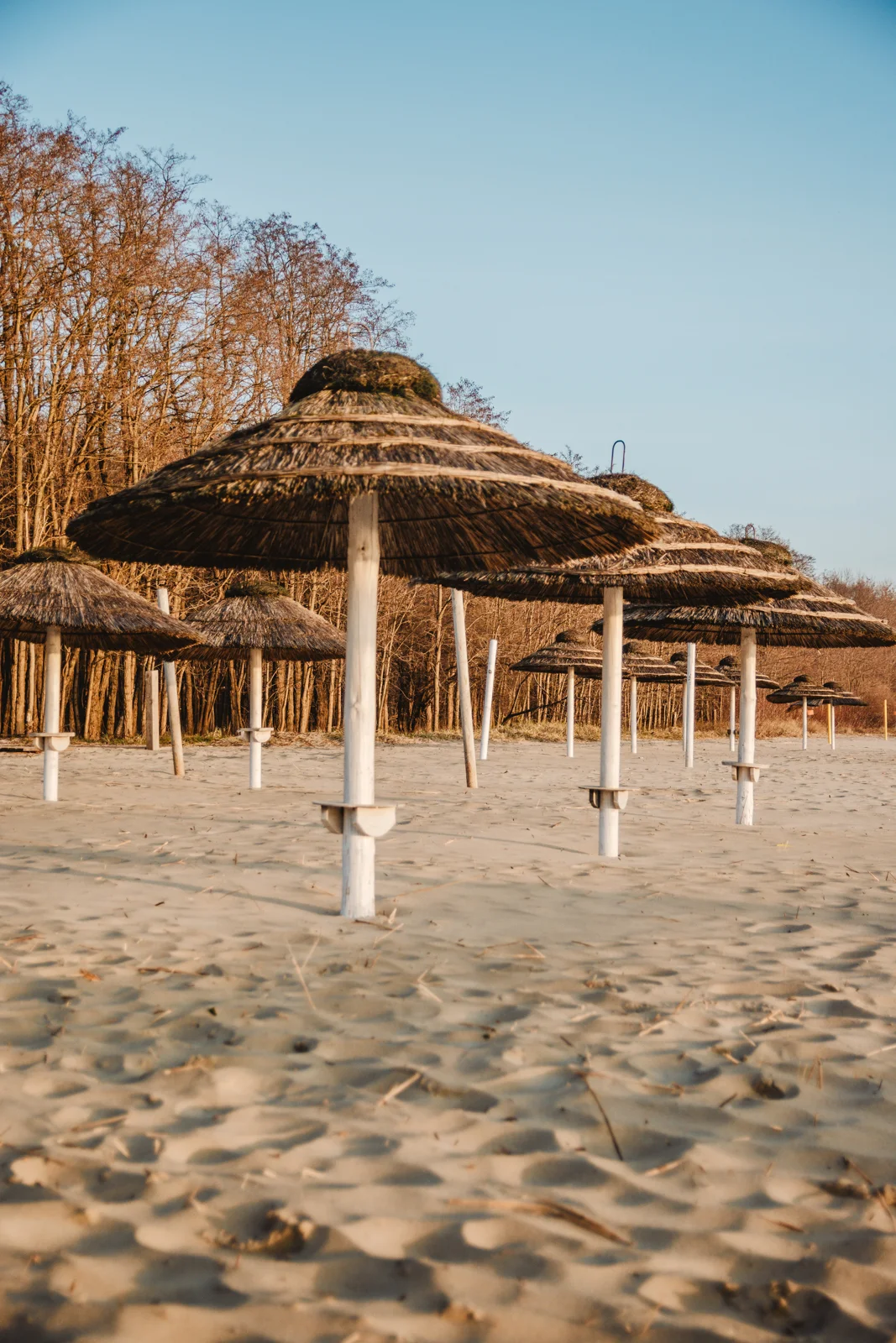 Koliba Sopot, Polskie Malediwy, Sopockie Malediwy, Plaża Koliba, Molo w Sopocie, Parasole w Sopocie