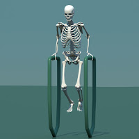 3d model human skeleton combine with biped