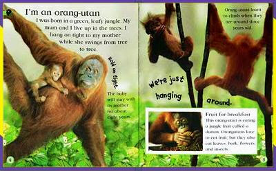 McDonalds DK Watch Me Grow Books - Apes inside pages example