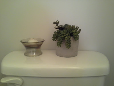 Threshold Mixed Succulent Potted Arrangement