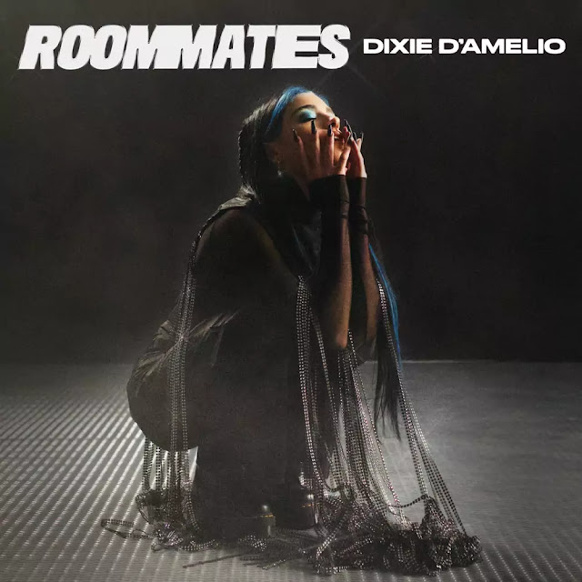 Dixie D'Amelio - Roommates (Lyrics)