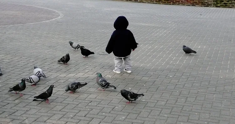 PIBE CON PALOMAS EN LA PLAZA