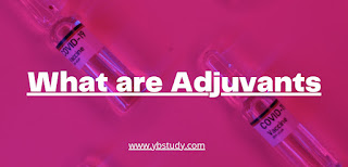 Adjuvants: Definition, Types, Mechanism, Role, Examples