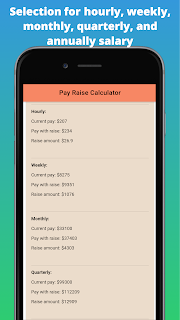 Selection for hourly, weekly, monthly, quarterly, and annually salary