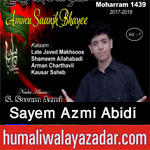http://www.humaliwalayazadar.com/2017/09/sayem-azmi-abidi-nohay-2018.html