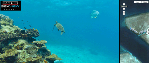  plans for underwater Street View images of the Great Barrier Reef New Google Underwater Sea View