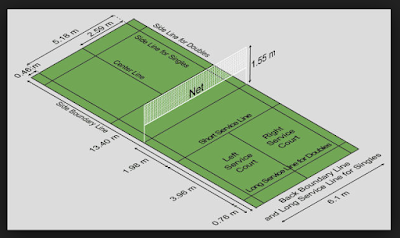 Lapangan Bulutangkis (Court)