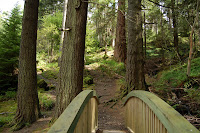 A bridge in the Argyll Forest