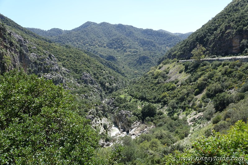 Estación de Cortes - Cañón de las Buitreras - Estación de Gaucín