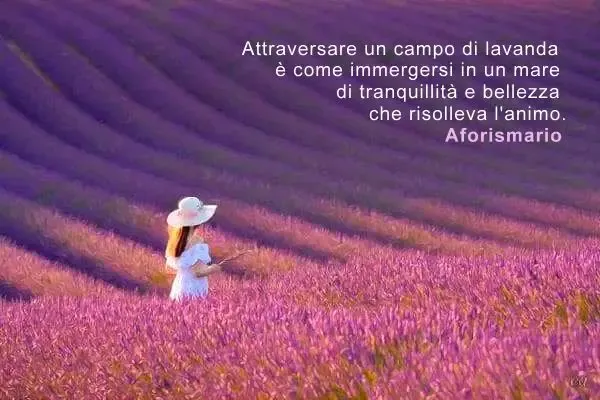 Ragazza attraversa campo di lavanda