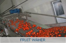 Fruit Waher