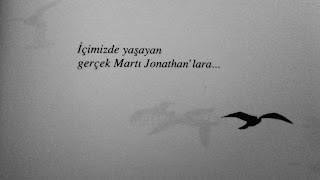 Martı- Richard Bach