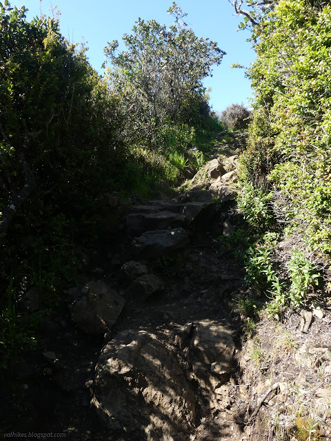 20: big rocks in a trail