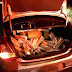 PM detém motorista com carga de cigarros contrabandeados dentro do carro em São José de Mipibu