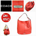 COACH Avery Leather Hobo (Sienna) ~ SOLD OUT!