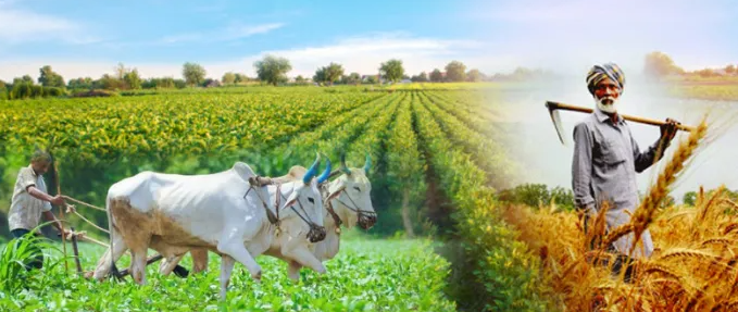  Harit Kranti Krishonnati Yojana: हरित क्रांति कृषि उन्नति योजना 2023 हरित क्रांति कृषि उन्नति योजना 2022 | छतरी योजना