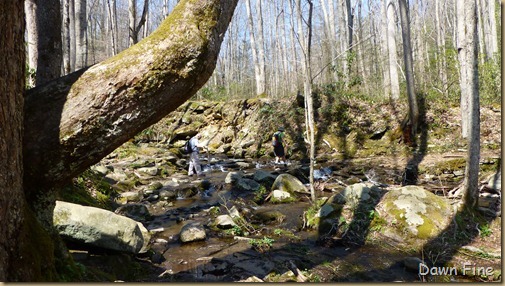 cucumber gap loop (54)