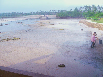  Viewpoint outlook of role of the western most beach on the due north coast of Bintan bestthailandbeaches: Bintan