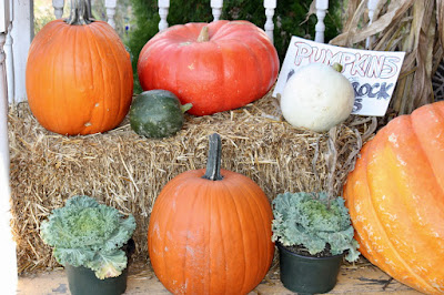 October is the month of "pumpkin patches"