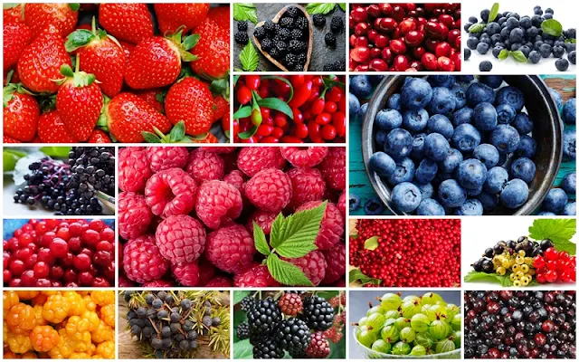 Different Types of Berries: Nutritional Profiles and Unique Benefits