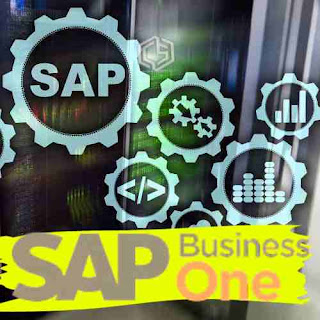 Cambiar idioma en SAP Business One - Consultoria-SAP