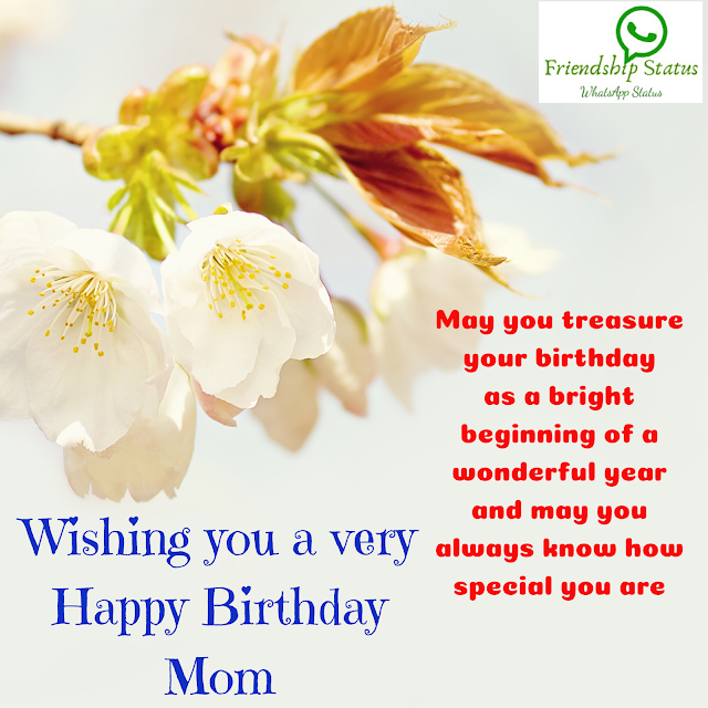 Birthday Wishes for Mother