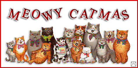 Merry Xmas Cat GIF • 14 funny cats wish a 'MEOWY CATMAS' to all kitties all over the World [ok-cats.com]