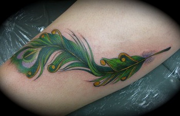 Peacock feather tattoo designs