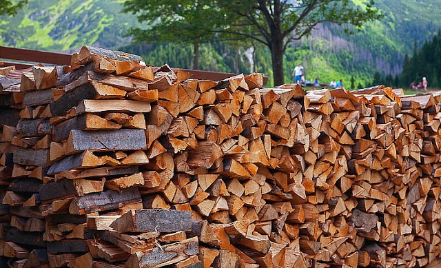 Firewood for sale in bulks