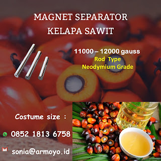 magnet kelapa sawit